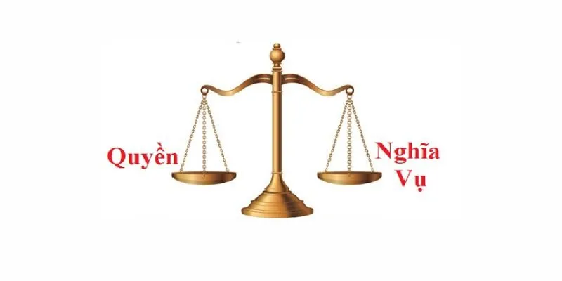 QUYỀN VÀ NGHĨA VỤ CỦA NGƯỜI DÙNG